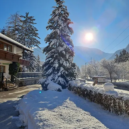 Gaestehaus Almrausch, Mit Pool 3* 那塞雷思