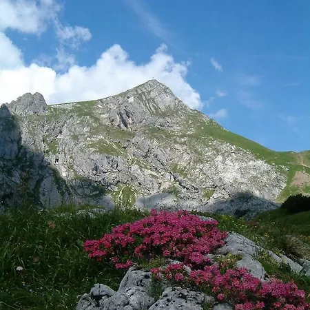 Gaestehaus Almrausch, Mit Pool 招待所