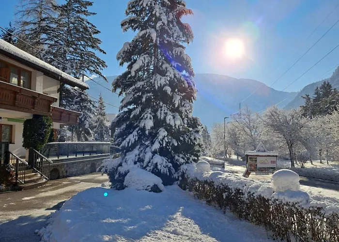 Almrausch, Mit Pool 3* Nassereith