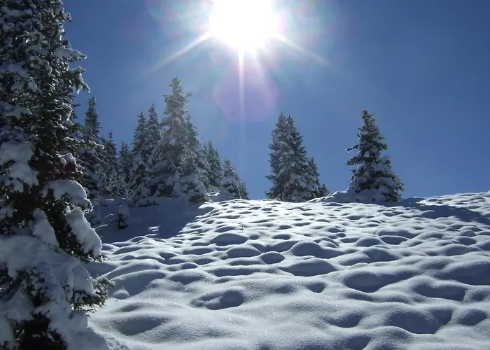 Almrausch, Mit Pool Gasthof 3*