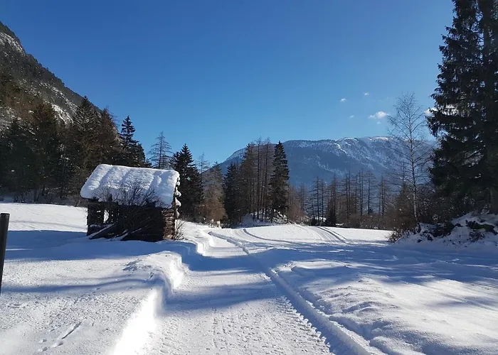 Almrausch, Mit Pool 3*