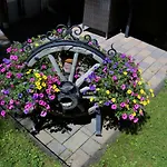 Gaestehaus Almrausch, Mit Pool 게스트하우스
