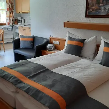 Gaestehaus Almrausch, Mit Pool בית הארחה נאסריט