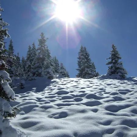 Gaestehaus Almrausch, Mit Pool בית הארחה 3*