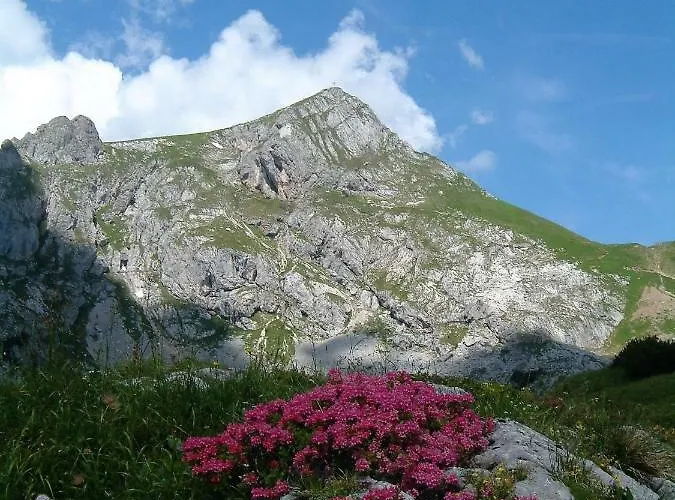 Gaestehaus Almrausch, Mit Pool Pensionat