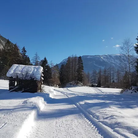 Gaestehaus Almrausch, Mit Pool *